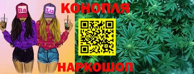 крисы Свободный